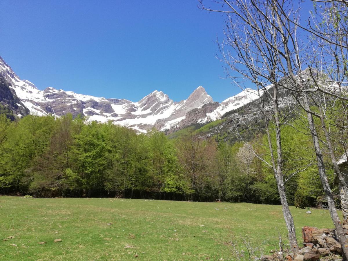 Apartamento El Fenal De Turmo Casa Rural "El Capricho De Nieves" Laspuña Exterior foto